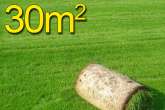Trawa z rolki PREMIUM 30m2najlepsza trawa w rolce, darń w rolce, 1 paleta, DARMOWA WYSYŁKA