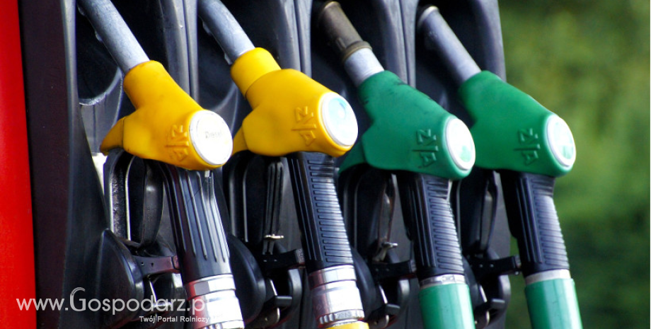 Przyspieszyło tempo wzrostu cen na stacjach paliw