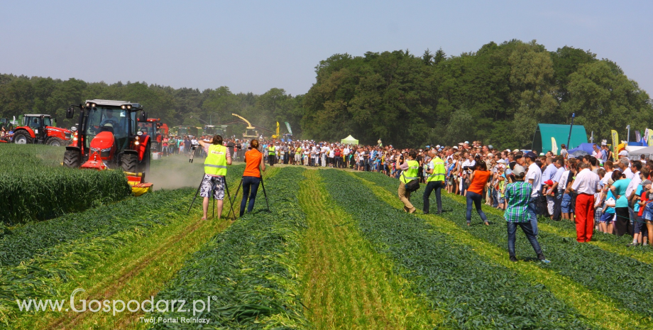 Zielone AGRO SHOW - Polskie Zboża 2015